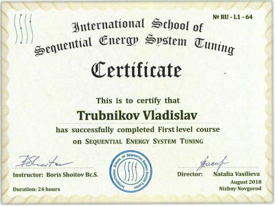 Сертификат выдан Трубникову Владиславу Игоревичу Международной школой «Sequential Energy System Tuning» и подтверждает успешное прохождение первого уровня курса по настройке энергетических систем организма (Sequential Energy System Tuning). Обучение проходило в августе 2018 года в Нижнем Новгороде, продолжительность курса составила 24 академических часа.