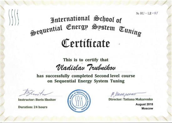 Сертификат выдан Трубникову Владиславу Игоревичу Международной школой «Sequential Energy System Tuning» и подтверждает успешное прохождение второго уровня курса по настройке энергетических систем организма (Sequential Energy System Tuning). Обучение проходило в августе 2018 года в Москве, продолжительность курса составила 24 академических часа.